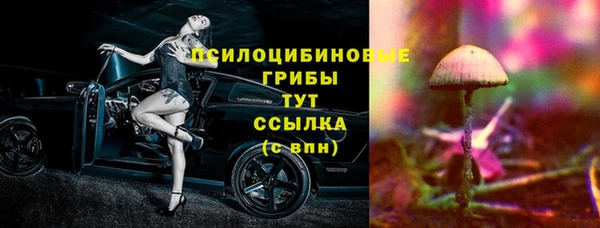 эйфоретик Алзамай