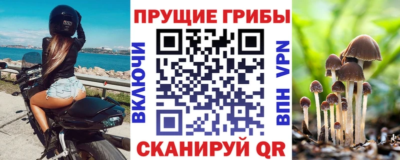 Галлюциногенные грибы мухоморы  Пущино 